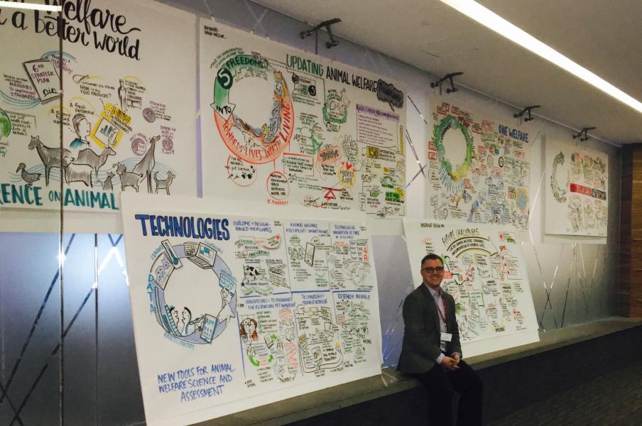 Featured International graphic recording graphic recording for OIE internationally
